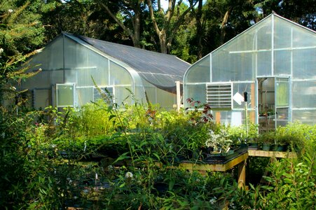 Plants protective covering