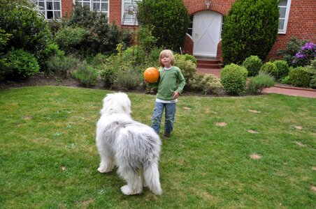 Cute bobtail child