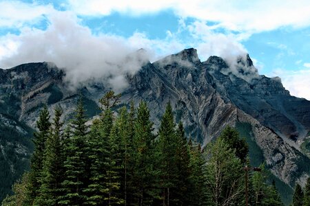 Cloud conifer conifers