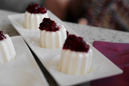 White pudding dessert photo