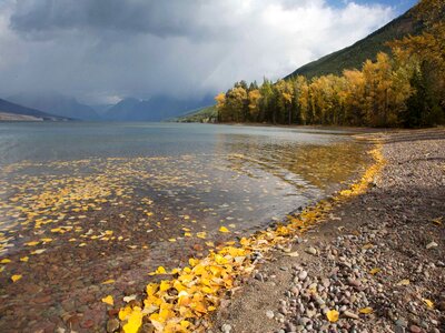 Autumn lake 