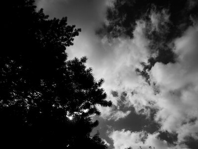 Black and white landscape clouds