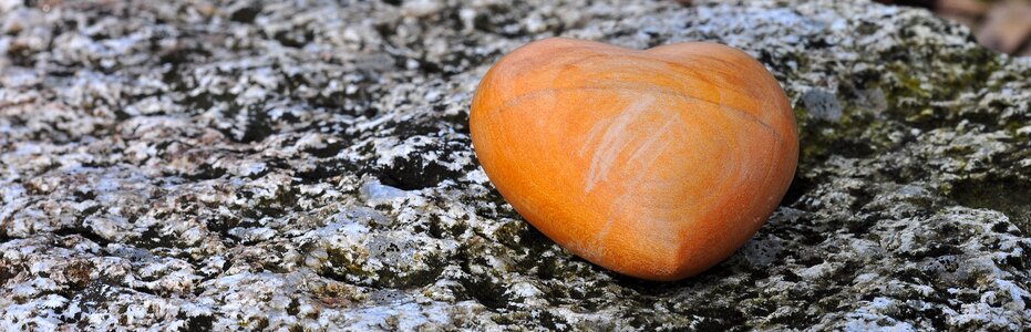 Stone wood nature