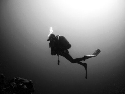 Water underwater world black and white