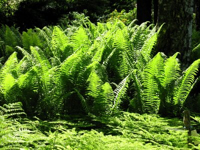 Aquatic branch climate
