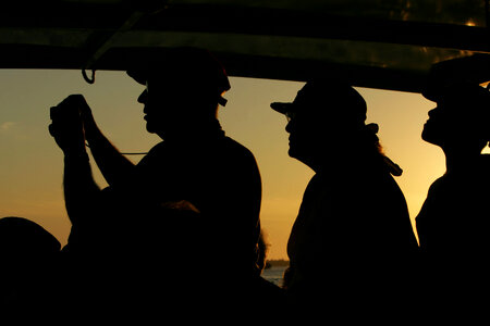 Sunset wildlife viewing