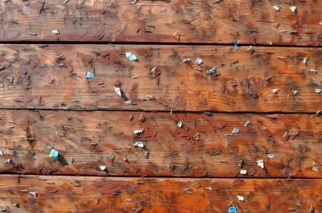 Wooden nails driven