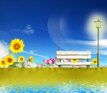 Sunflower field with blue sky