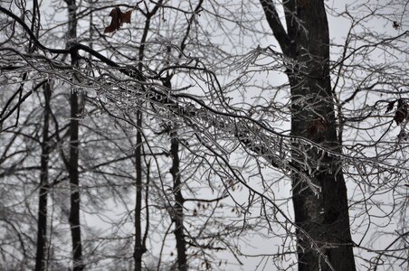 Ice background icy frozen photo