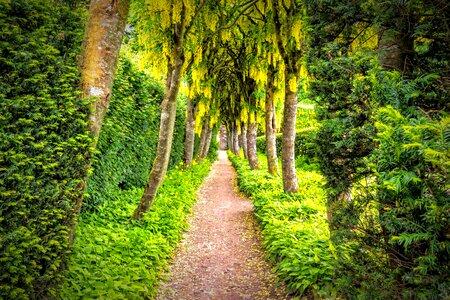 Beautiful Photo branch ecology