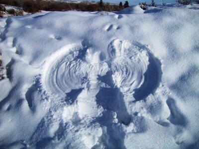 Angel snow 