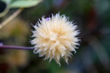 Ball round soft