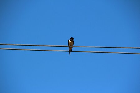 Nature lines blue photo