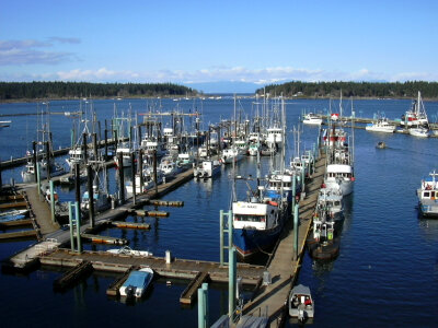 Nanaimo Harbour with ships in British Columbia, Canada photo