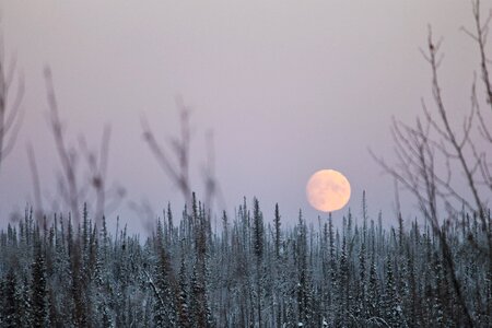 Full moon snow cold