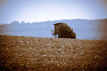 Field arable delight photo