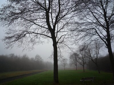 Bench fog furniture photo