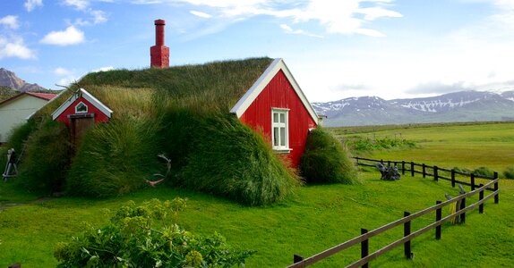 Bordafjordur roofing grass photo