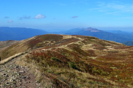 Top view tops trail photo