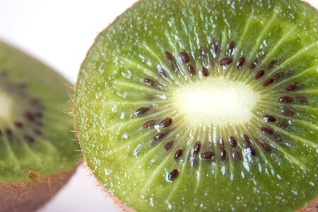 Dark Green dessert diet