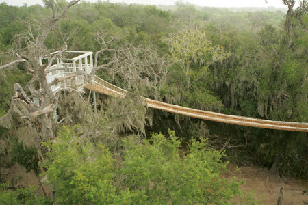 Swinging bridge at Santa Ana National Wildlife Refuge photo
