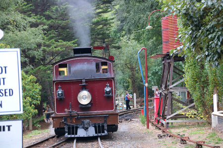 Puffing Billy steam locomotive photo