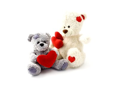 Animal animals toy
