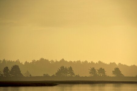 Silhouette nature sunset photo