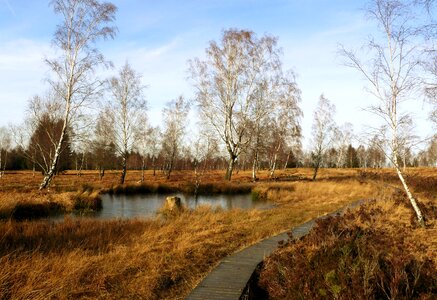 Pond waters autumn photo