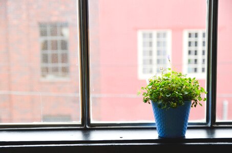 Interior house pot photo