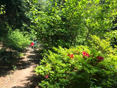 Hiking Saryangdo Tongyeong Island South Korea