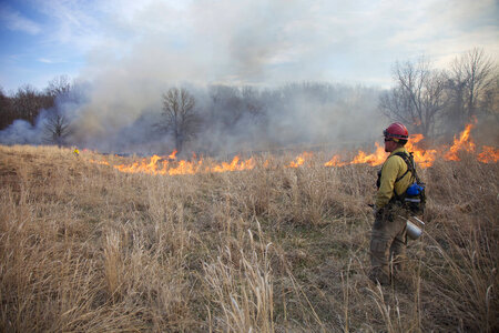 Firefighter in burn area