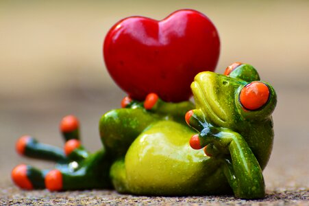 Heart funny frog