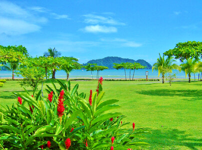 Beach and Coast in Costa Rica photo