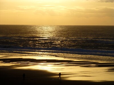 Coast beach pacific ocean