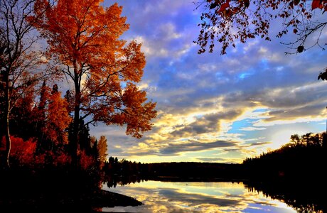Lake fall trees