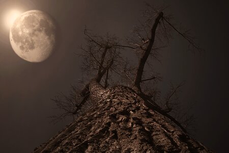 Full moon moonrise twilight photo