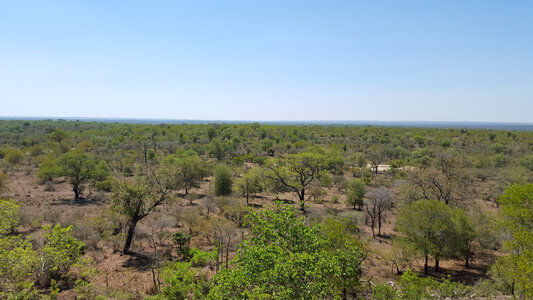 Landscape of Kruger National Park in South Africa