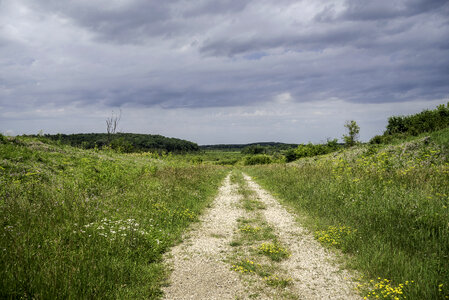 Hiking Path at Goose Lake State Wildlife Area, Wisconsin photo