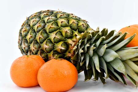 Herb mandarin pineapple