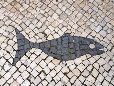Fish mosaic stone