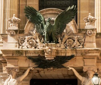 Adler metal wing