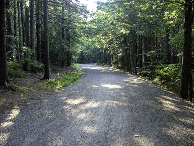 Carriage Road in Acadia National Park, Maine photo