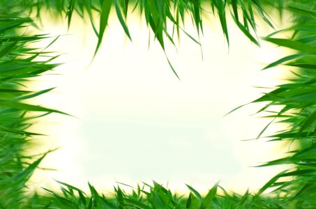 Natural Background Frame