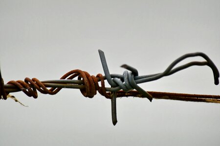Barbed Wire device security photo