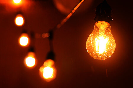 Vintage Light Bulbs photo