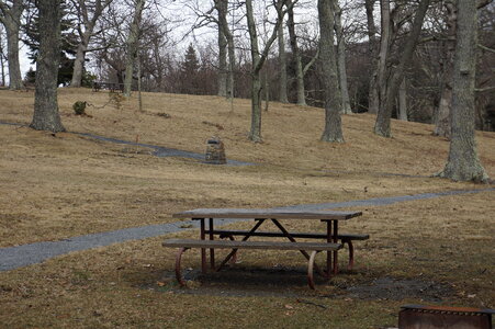 Picnic Grounds - Shenandoah National Park
