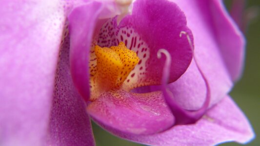 Detail closeup macro