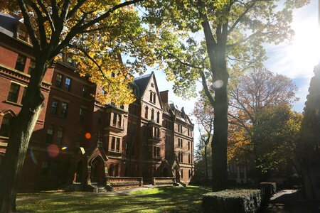 Building sunshine europe