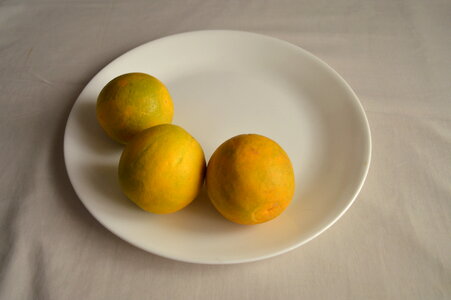 Lime On Dish 2